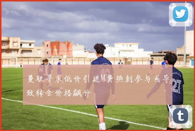 曼联寻求低价引进M费热刺参与或导致转会价格飙升