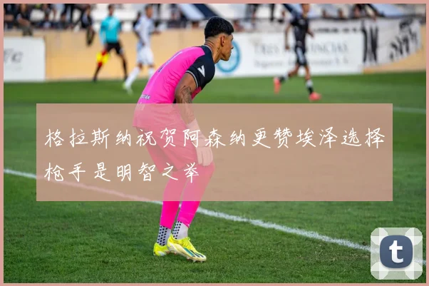 格拉斯纳祝贺阿森纳更赞埃泽选择枪手是明智之举